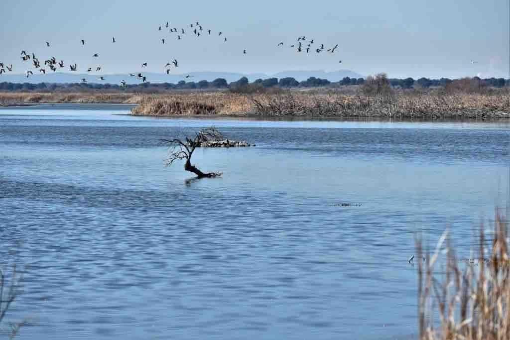 Apto. Singular En La Mancha Banco De Inversiones Argamasilla de Alba Esterno foto